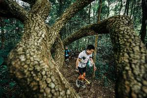 BIB: 
                            <button type="button" onclick="openModal(25393123)" class="btn btn-primary btn-sm float-right btn-popup" data-toggle="modal" data-target=".modal-high-quality">
                        <i class="fas fa-shopping-cart"></i> Add to Cart
                    </button>
                                            <button type="button" onclick="isThisMe(25393123, true)" class="btn btn-success btn-sm float-right btn-popup btn-isme hidden" data-toggle="tooltip" data-placement="bottom" title="นี่คือรูปของคุณใช่ไหม คลิกที่นี่เพื่อเอาเข้าอัลบั้ม">
                        <i class="fas fa-plus"></i> Add to album
                    </button>
                    <button type="button" onclick="isThisMe(25393123, false)" class="btn btn-warning btn-sm float-right btn-popup btn-isnotme hidden">
                        <i class="fas fa-ban"></i> Remove from album
                    </button>